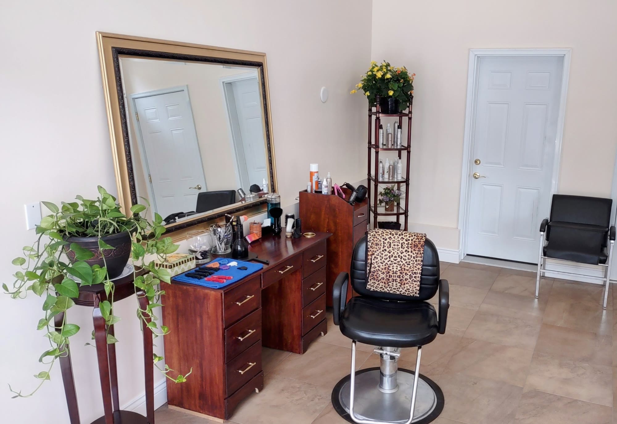 Inside Diversity in Beauty Hair Salon: a styling station with a large gold-framed mirror, a black salon chair and trailing plants